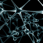 neuronios